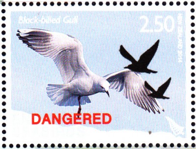 Vögel_0005.jpg