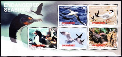 Vögel_0001.jpg