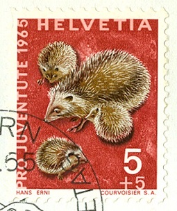 Schweiz 1965 ProJuve Igel.jpg