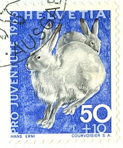 Schweiz 1965 ProJuve Schneehase.jpg
