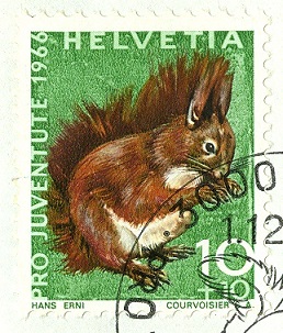 Schweiz 1966 ProJuve Eichhörnchen.jpg