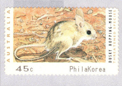 010.jpg (390.2 KiB) 26-mal betrachtet 010.jpg