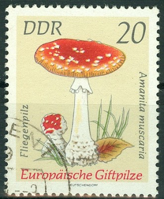 DDR 19xx MiNr. Fliegenpilz.jpg