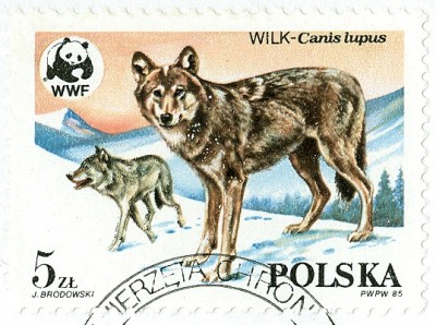 Polen 1985 5 Zloty -3.jpg