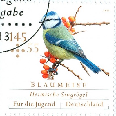 Bund 2013 MiNr. BlauMeise.jpg