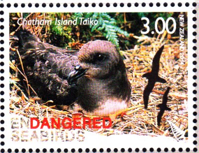 Vögel_0006.jpg