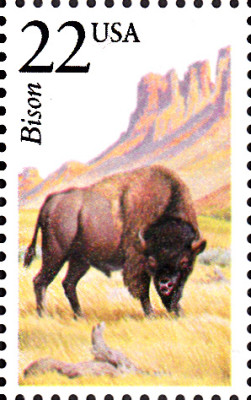 bison1.jpg