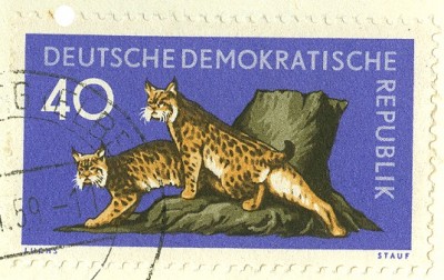 DDR 19xx MiNr. Luchs.jpg