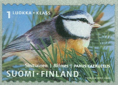 Finnland 2001 Blaumeise.jpg