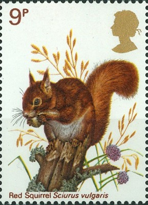 GB 9P Eichhörnchen Sciurus vulgaris.jpg