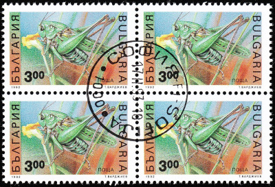 IMG_0002 - Kopie.jpg