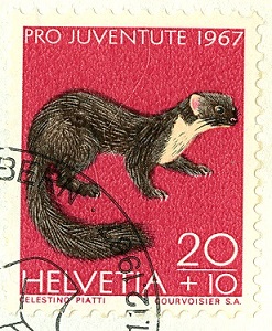 Schweiz 1967 ProJuve Hermelin.jpg