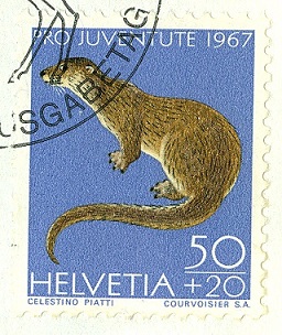 Schweiz 1967 ProJuve Fischotter.jpg
