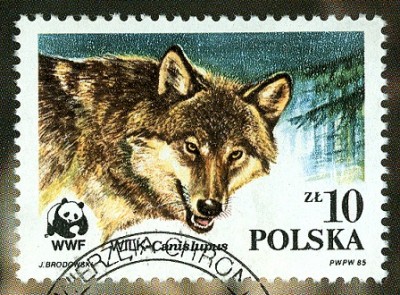 Polska 19xx 10 Zloty -1.jpg
