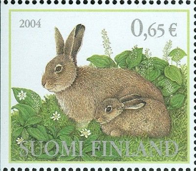 Finnland 2004 Hase.jpg