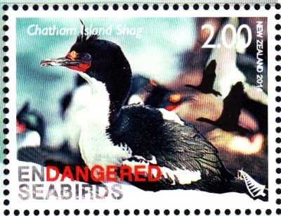 Vögel_0004.jpg