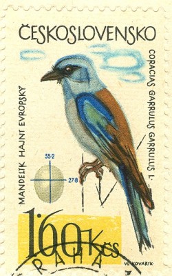 CSSR 1964 Blauracke -6.jpg