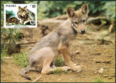 Polen 1985 10 Sloty-5.jpg