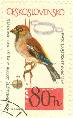 CSSR 1964 Buchfink -5.jpg