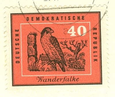 DDR 1959 Wanderfalke MiNr.jpg