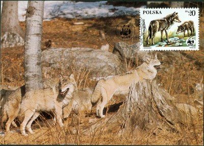Polen 1985 Wolf 20 Sloty-Wert-2.jpg