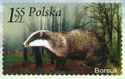 Polen 2009 Dachs 1.55 Sloty -2.jpg