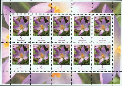 Bund 2005 MiNr. 2480 A Krokus Crocus tommasinianus1.jpg