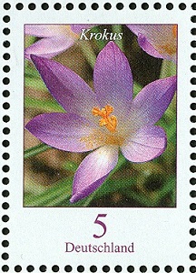 Bund 2005 MiNr. 2480 A Krokus Crocus tommasinianus.jpg