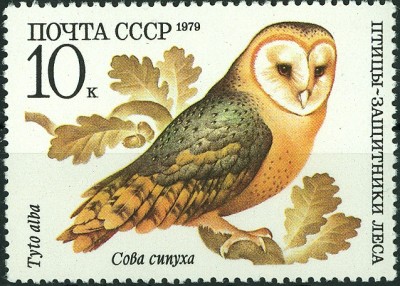CCCP 1979 MiNr. Schleiereule Tyto alba.jpg