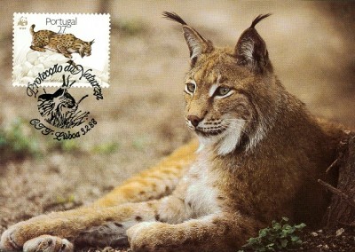 Portugal 1988 Luchs 27-2.jpg
