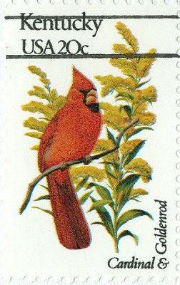USA 1992 Blumen und Vögel FDC 1-4.jpg