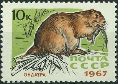 CCCP 1967 MiNr. Biber.jpg