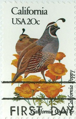 USA 1992 Blumen und Vögel FDC 2-2.jpg
