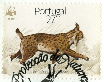 Portugal 1988 Luchs-27-5.jpg