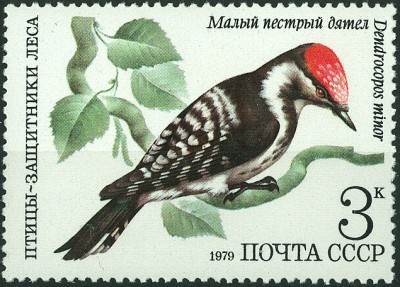 CCCP 1979 MiNr. Kleiner Buntspecjt.jpg (218.24 KiB) 2156-mal betrachtet CCCP 1979 MiNr. Kleiner Buntspecjt.jpg