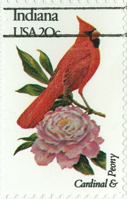 USA 1992 Blumen und Vögel FDC 3-5.jpg