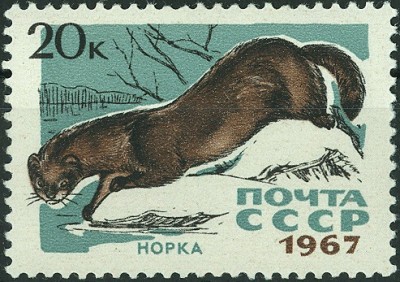 CCCP 1967 Europäischer Nerz.jpg