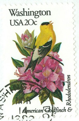 USA 1992 Blumen und Vögel FDC 4-1.jpg