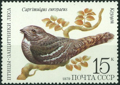 CCCP 1979 MiNr. Ziegenmelker Caprimulgus europaeus.jpg