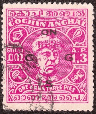 IMG.jpg