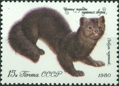 CCCP 1980 Zobel.jpg