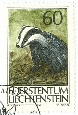 Liechtenstein 1993 Dachs.jpg
