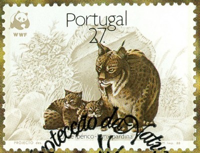 Portugal letzter Wert-1.jpg