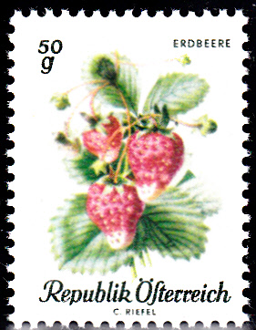 Früchte_0001.jpg