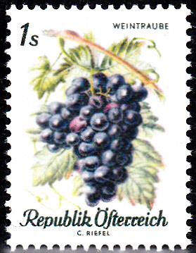 Früchte_0002.jpg
