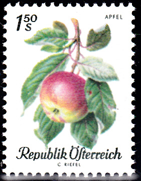 Früchte_0003.jpg