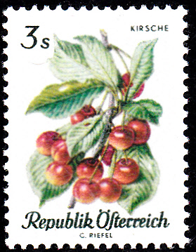 Früchte_0006.jpg