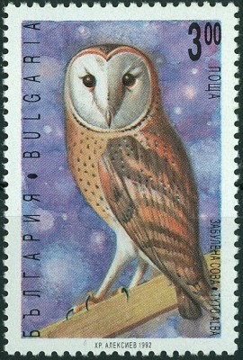 Bulgarien 1992 Tyto alba.jpg