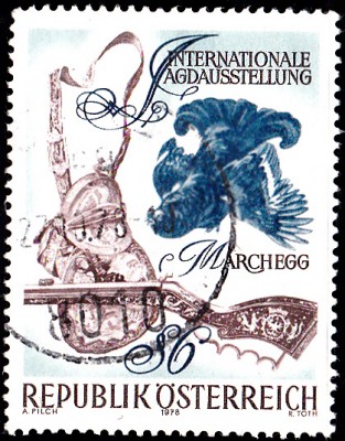 Geflügel.jpg