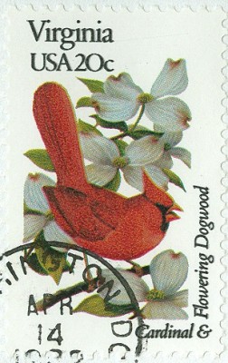 USA 1992 Blumen und Vögel FDC 6-1.jpg